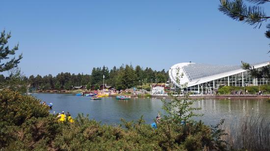 Centre Parcs Whinfell Forest